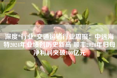 深度*行业*交通运输行业周报：中远海特2024年业绩创历史新高 顺丰2024年归母净利润突破100亿元