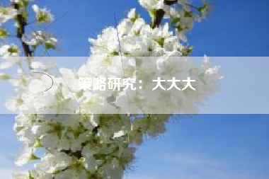 策略研究：大大大