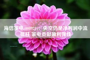 海信家电(000921)：央空仍是净利润中流砥柱 家电贡献盈利弹性
