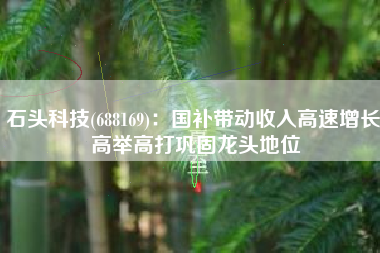 石头科技(688169)：国补带动收入高速增长 高举高打巩固龙头地位