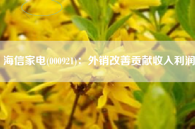 海信家电(000921)：外销改善贡献收入利润