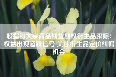 股指和大宗商品期货期权衍生品跟踪：权益出现超跌信号 关注衍生品定价纠偏机会