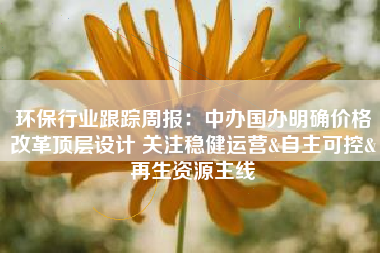 环保行业跟踪周报：中办国办明确价格改革顶层设计 关注稳健运营&自主可控&再生资源主线