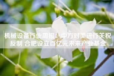 机械设备行业周报：中方对美进行关税反制 合肥设立百亿元未来产业基金