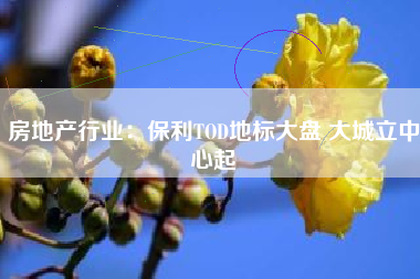 房地产行业：保利TOD地标大盘 大城立中心起