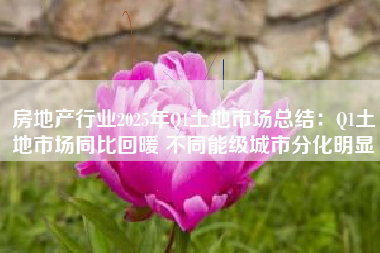 房地产行业2025年Q1土地市场总结：Q1土地市场同比回暖 不同能级城市分化明显