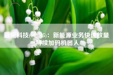 蓝黛科技(002765)：新能源业务快速放量 持续加码机器人