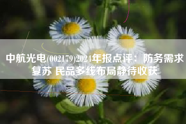 中航光电(002179)2024年报点评：防务需求复苏 民品多线布局静待收获