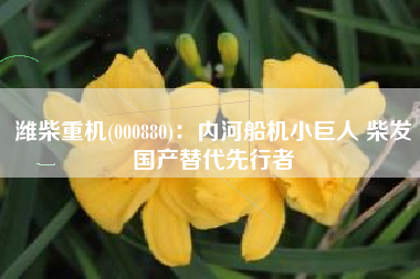 潍柴重机(000880)：内河船机小巨人 柴发国产替代先行者
