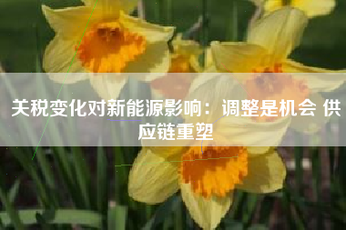 关税变化对新能源影响：调整是机会 供应链重塑