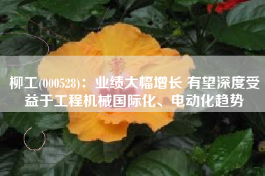 柳工(000528)：业绩大幅增长 有望深度受益于工程机械国际化、电动化趋势