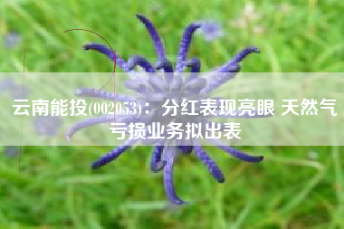 云南能投(002053)：分红表现亮眼 天然气亏损业务拟出表