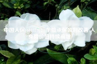 中国人保(601319)：车险承保盈利改善 人身险价值持续高增
