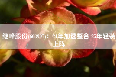继峰股份(603997)：24年加速整合 25年轻装上阵