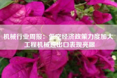 机械行业周报：低空经济政策力度加大 工程机械进出口表现亮眼