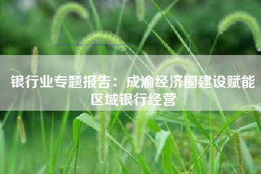 银行业专题报告：成渝经济圈建设赋能区域银行经营