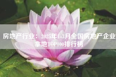 房地产行业：2025年1-3月全国房地产企业拿地TOP100排行榜