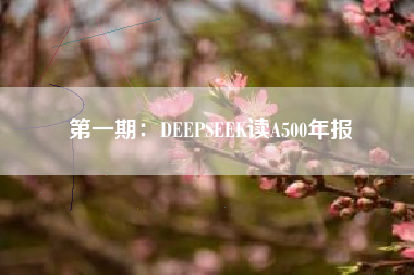 第一期：DEEPSEEK读A500年报