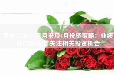 家电行业2-3月月报及4月投资策略：业绩窗口期已至 关注相关投资机会