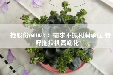 一拖股份(601038)：需求不振利润承压 看好拖拉机高端化
