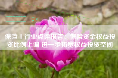 保险Ⅱ行业点评报告：保险资金权益投资比例上调 进一步拓宽权益投资空间