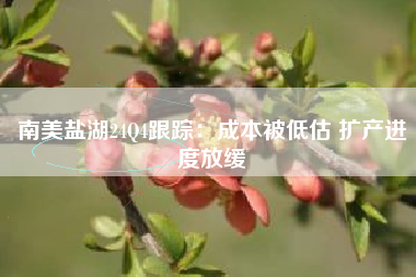 南美盐湖24Q4跟踪：成本被低估 扩产进度放缓