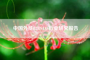中国外贸B2BSAAS行业研究报告