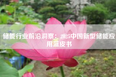 储能行业前沿洞察：2025中国新型储能应用蓝皮书