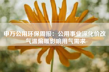 申万公用环保周报：公用事业深化价改 气温偏暖影响用气需求