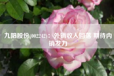 九阳股份(002242)：外销收入回落 期待内销发力