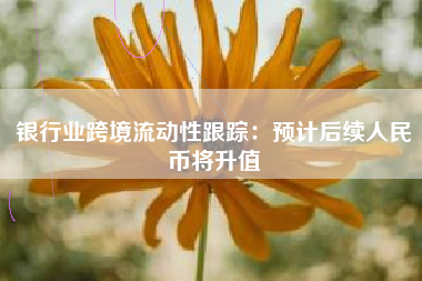 银行业跨境流动性跟踪：预计后续人民币将升值