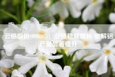 云铝股份(000807)：业绩稳健增长 电解铝产量显著提升