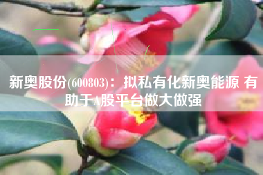 新奥股份(600803)：拟私有化新奥能源 有助于A股平台做大做强