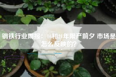 钢铁行业周报：16和21年限产前夕 市场是怎么反映的？