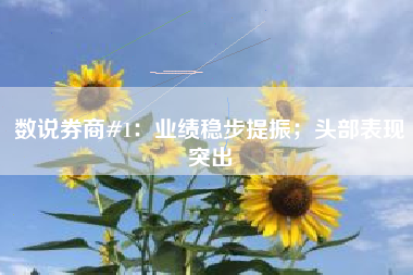 数说券商#1：业绩稳步提振；头部表现突出