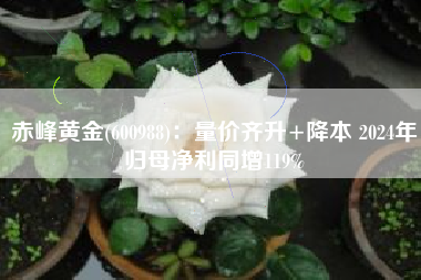 赤峰黄金(600988)：量价齐升+降本 2024年归母净利同增119%