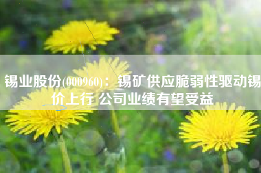 锡业股份(000960):锡矿供应脆弱性驱动锡价上行 公司业绩有望受益 锡业股份(000960):锡矿供应脆弱性驱动锡价上行 公司业绩有望受益
