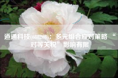 道通科技(688208)：多元组合应对策略 “对等关税”影响有限