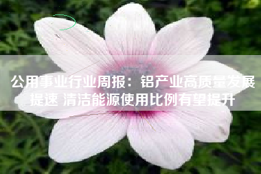 公用事业行业周报：铝产业高质量发展提速 清洁能源使用比例有望提升
