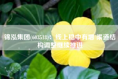 锦泓集团(603518)：线上稳中有增 渠道结构调整继续推进