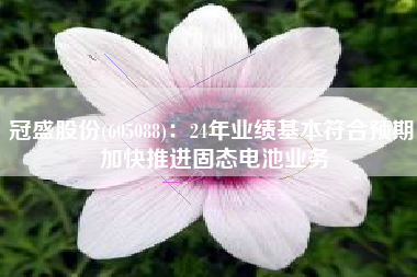 冠盛股份(605088)：24年业绩基本符合预期 加快推进固态电池业务