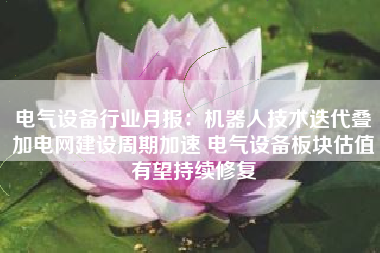 电气设备行业月报：机器人技术迭代叠加电网建设周期加速 电气设备板块估值有望持续修复