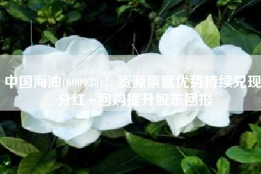中国海油(600938)：资源禀赋优势持续兑现 分红+回购提升股东回报