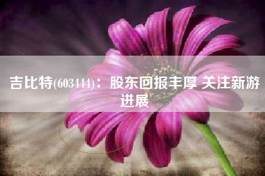 吉比特(603444)：股东回报丰厚 关注新游进展