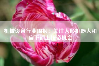 机械设备行业周报：关注人形机器人和自下而上投资机会
