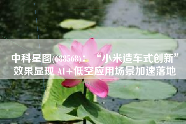 中科星图(688568)：“小米造车式创新”效果显现 AI+低空应用场景加速落地