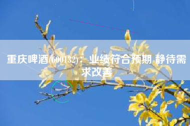 重庆啤酒(600132)：业绩符合预期 静待需求改善