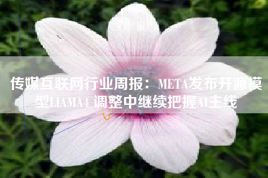 传媒互联网行业周报：META发布开源模型LIAMA4 调整中继续把握AI主线