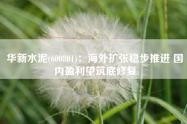 华新水泥(600801)：海外扩张稳步推进 国内盈利望筑底修复