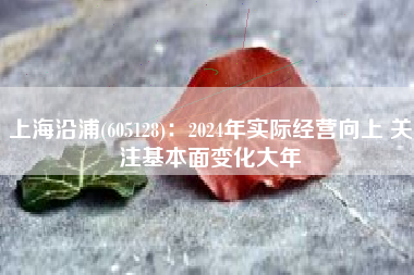上海沿浦(605128)：2024年实际经营向上 关注基本面变化大年